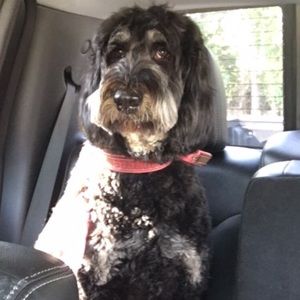 Meet your Posher, Cindy